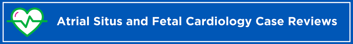 Atrial Situs and Fetal Cardiology Case Reviews Banner
